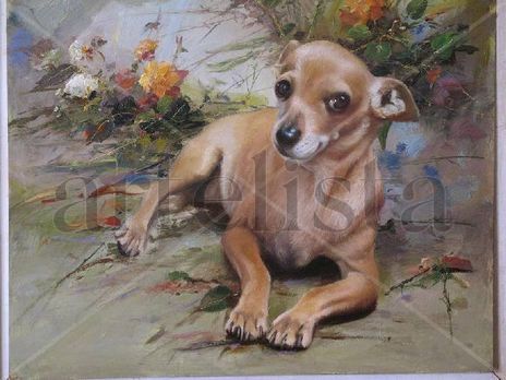 Mascota