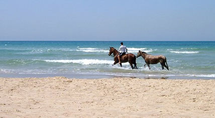 Air, Water, Ground