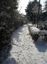sendero de nieve