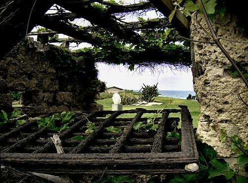 Beyond old window frame	 Nature Color (Digital)