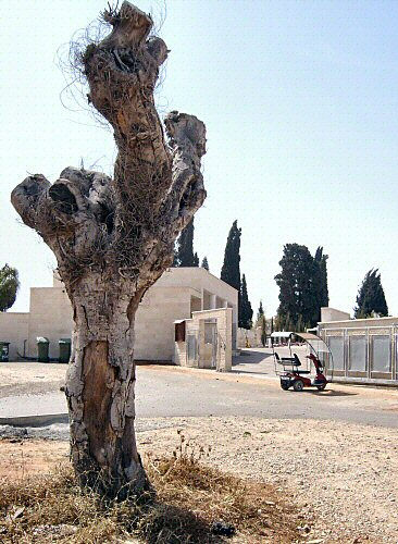 Cemetery