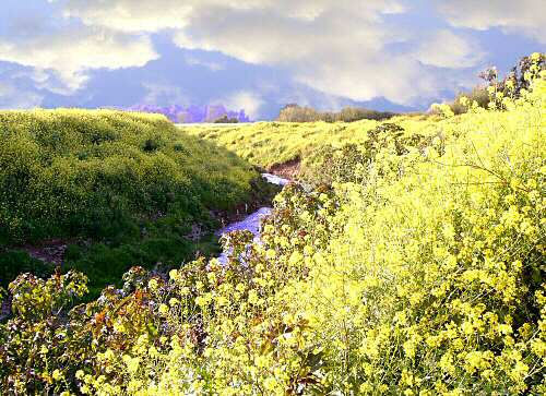 Colors of spring	 