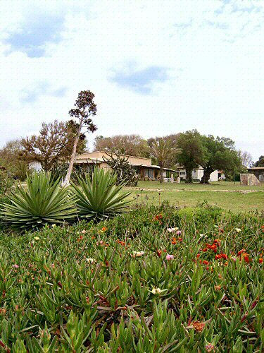 Countryside 2	