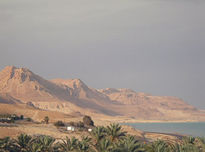 Dead sea landscape