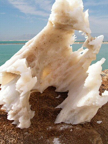 Dead sea salt 3	 Otras temáticas Color (Digital)