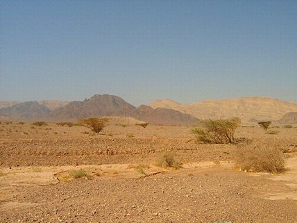 Desert	