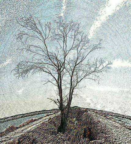 End of the Way	