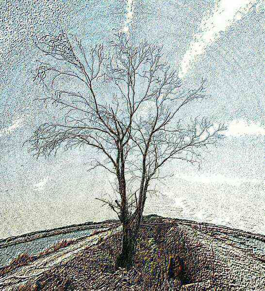 End of the Way	