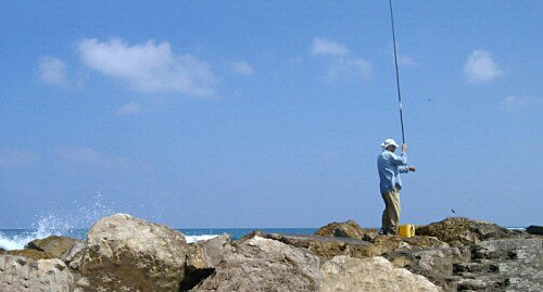 Fisherman	 Otras temáticas Color (Digital)