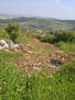 Israeli landscape 4