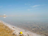 Dead sea alive 1	