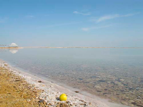Dead sea alive 1