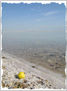 Dead sea salt 4	