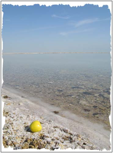Dead sea salt 4	