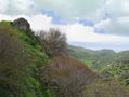 Israeli landscape 6	