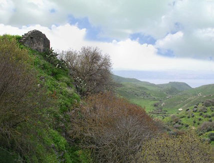 Israeli landscape 6	