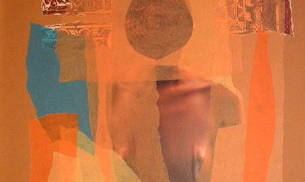 Collage carta velina/immagini