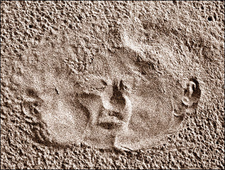 Le Baiser de Narcisse