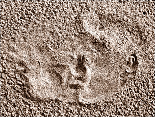 Le Baiser de Narcisse Conceptual/Abstract Alternative techniques