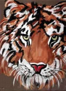 Tigre