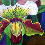 A flor de piel thumbnail 2