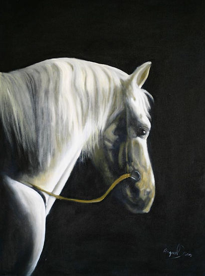 Equus I Oil Others