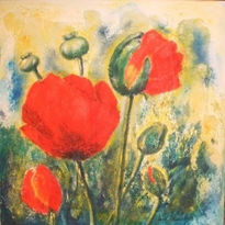 roter Mohn