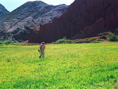 Un paseo 