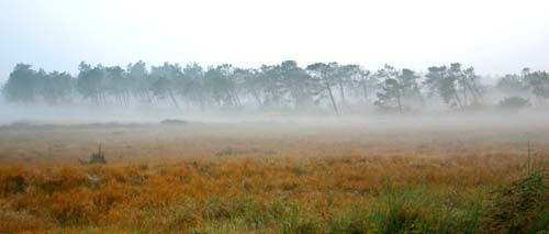 Octubre Naturaleza Color (Química)