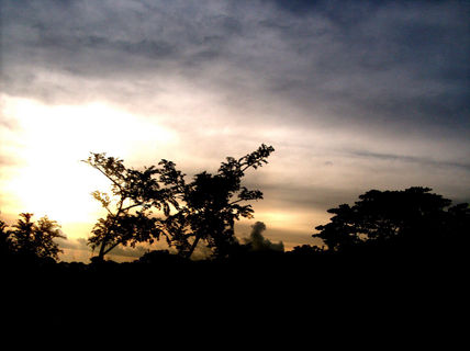 Amanecer4