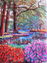 "tulipanes en el campo (I)