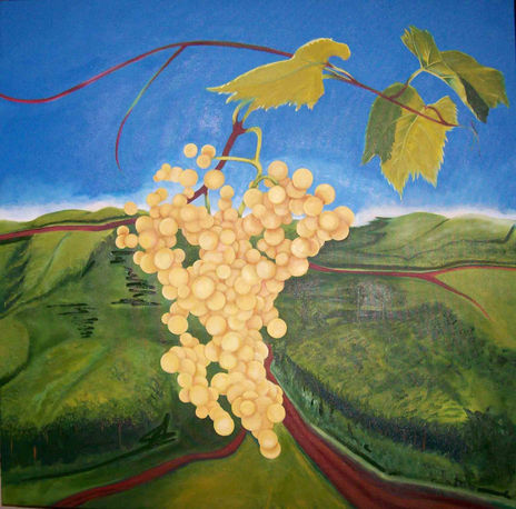 Paisagem rural