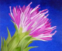 Esplendor en Cirsium