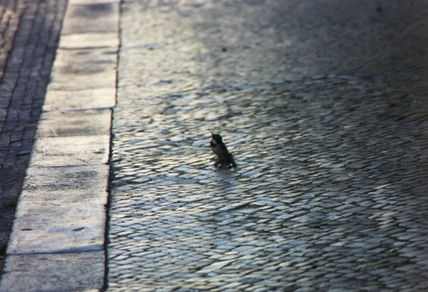 Paseo por las...