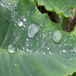 Fotografia thumbnail 1