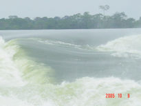 Amazonia