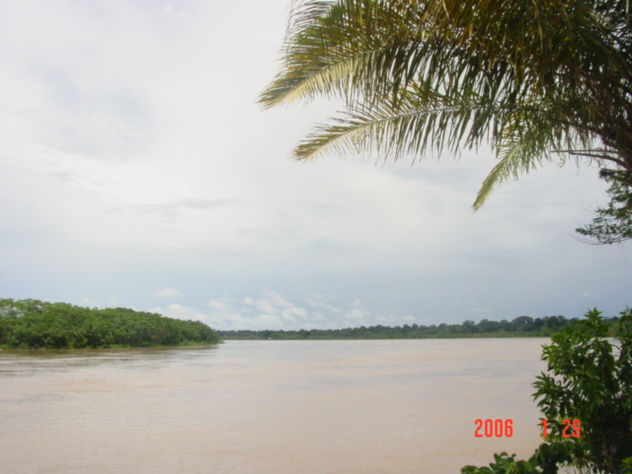 amazonia