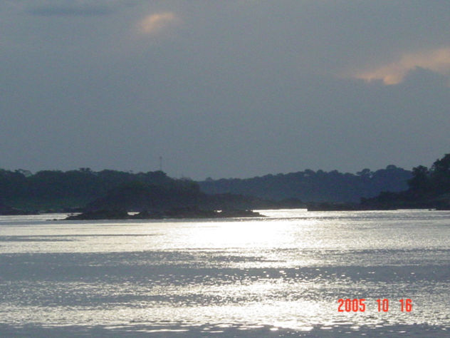 amazonia