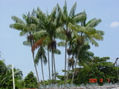 naturaleza