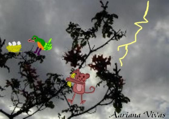 Animales en la tormenta
