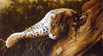 Spotted - Leopard