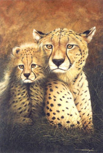 Cheetah Mother & Cub