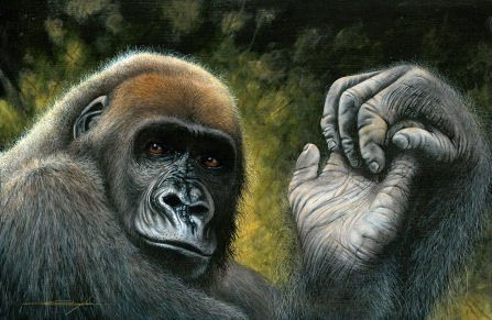 Cross River Gorilla Oil Canvas Animals