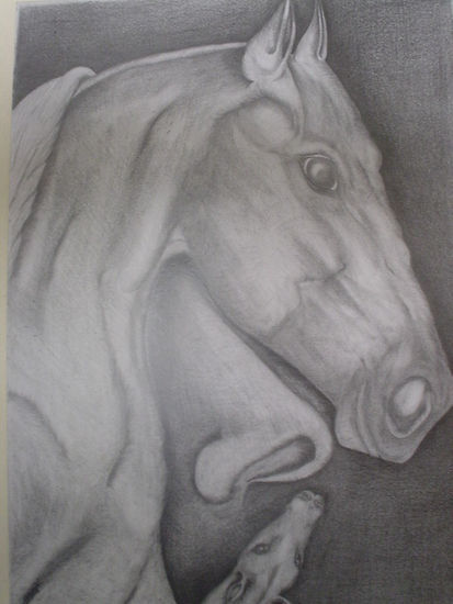 Búsqueda Charcoal