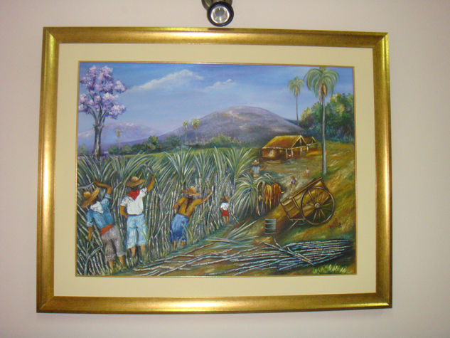 cañicultores "arroyos y esteros" 