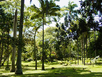 Jardin botanico