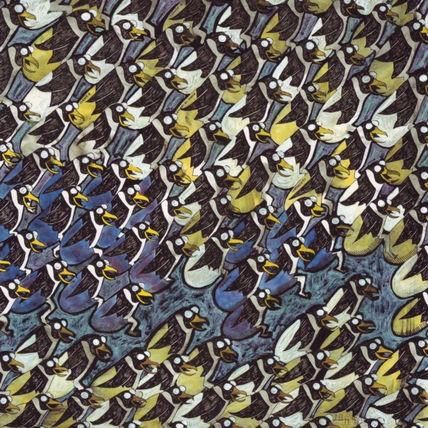 Pinguini emergenti