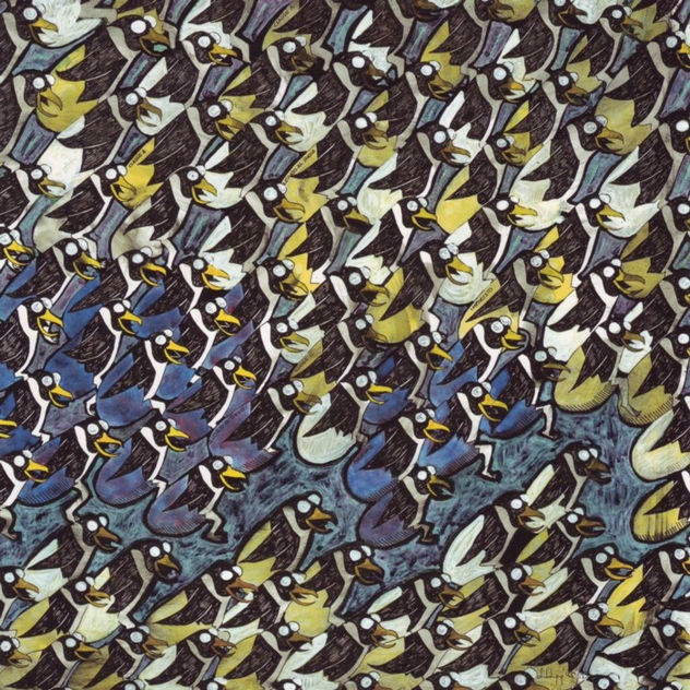 pinguini emergenti