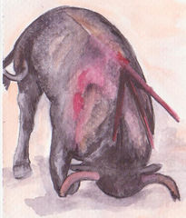 Toro1 aquarelle