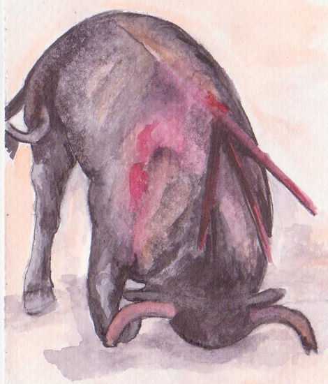 toro1 aquarelle Acuarela Papel Figura